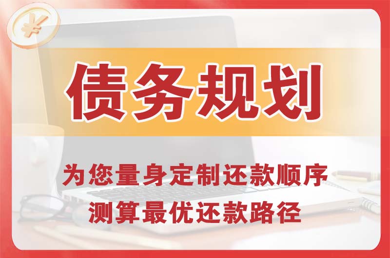 张家界债务规划